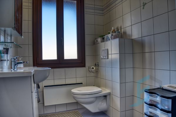 Beuson flat: Shower room