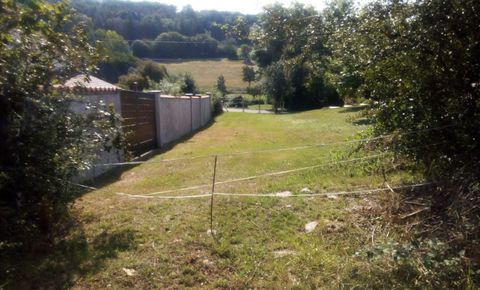 Land for sale of 10,000 m2